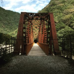 6FB36A79-C7B7-4186-8945-ADFAFC8D24D3