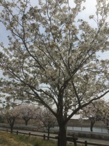 7F5F49C3-CD06-41D7-BB2C-F5D5774949DF