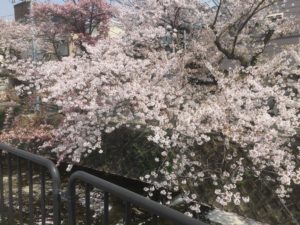 92AC27E4-D4FE-4E82-BCE2-859E85FAA1AA