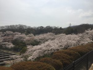 BFA71F99-6CA5-4160-B115-0C5973414DD6