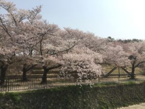 F656123B-533F-4EF6-8075-50BA1211E27A