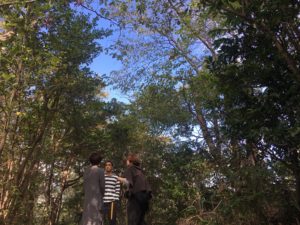 02380BB0-3E4E-4976-9F2F-3223CB904D53